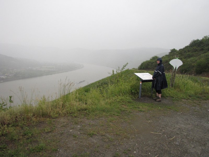 regen bopparder hamm.jpg - En toen begon het te regenen. Maar dat houdt ons niet tegen. Ponchos aan en wandelen maar.